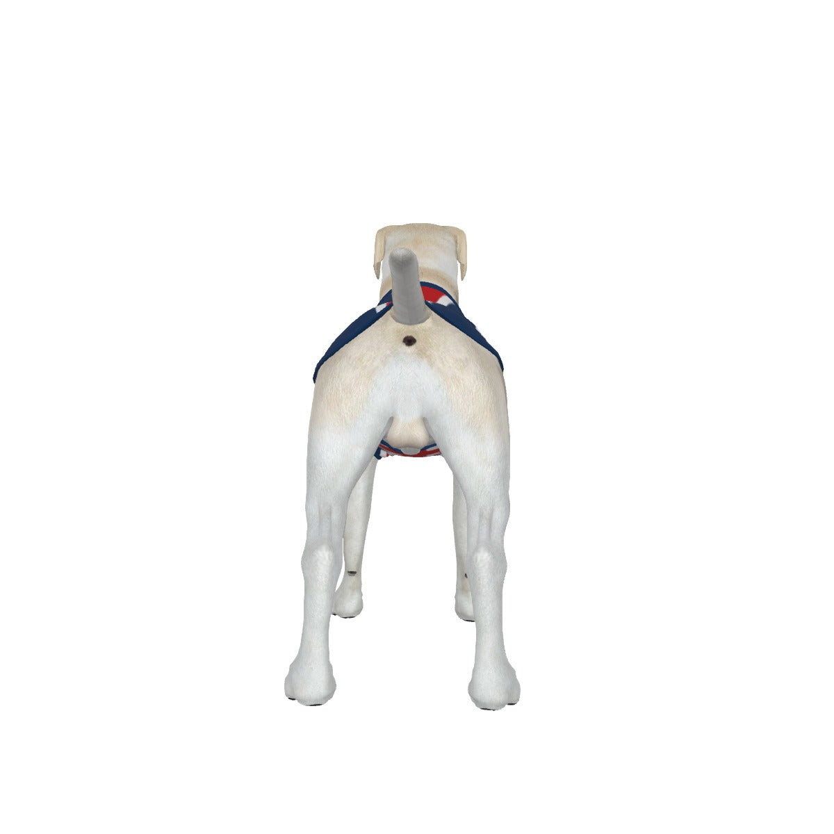 UK- Anti Woke Pets - Big Dog's Tank Top